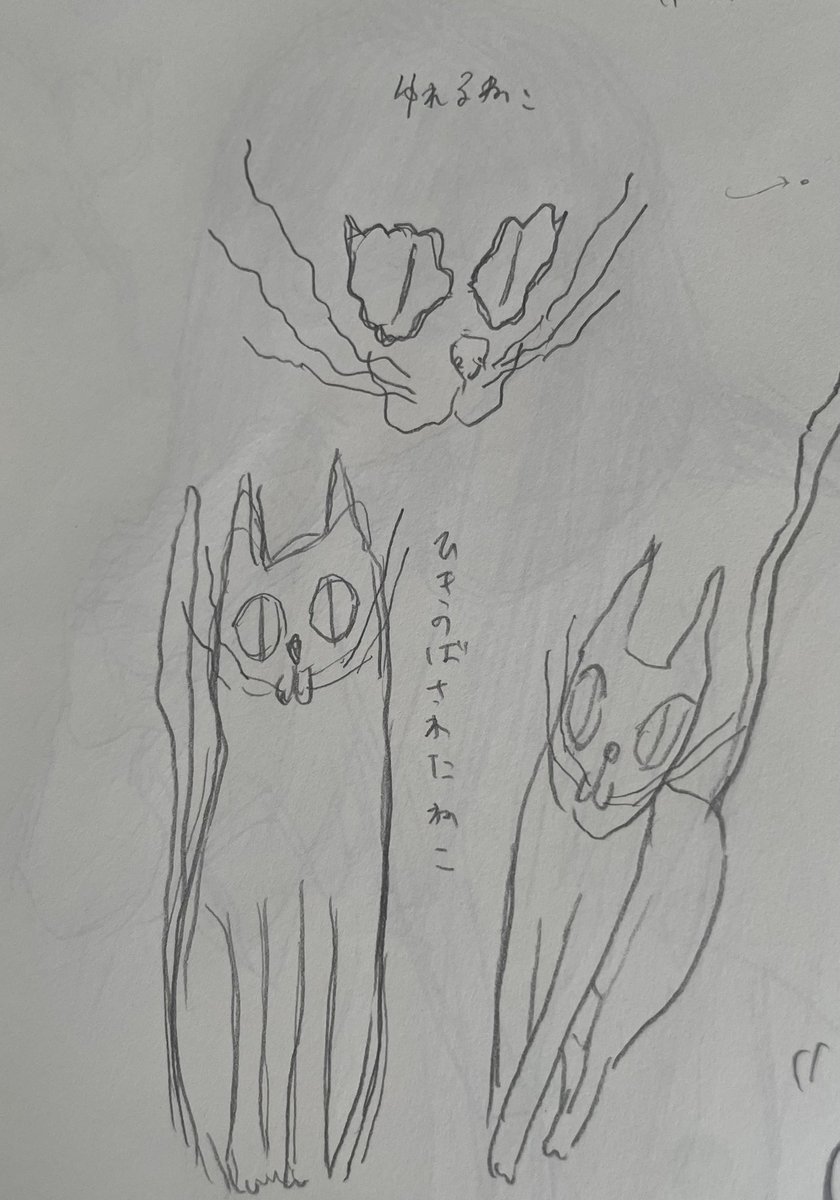 bon_morry's tweet photo. ねこらくがき https://t.co/j92a14vveW
