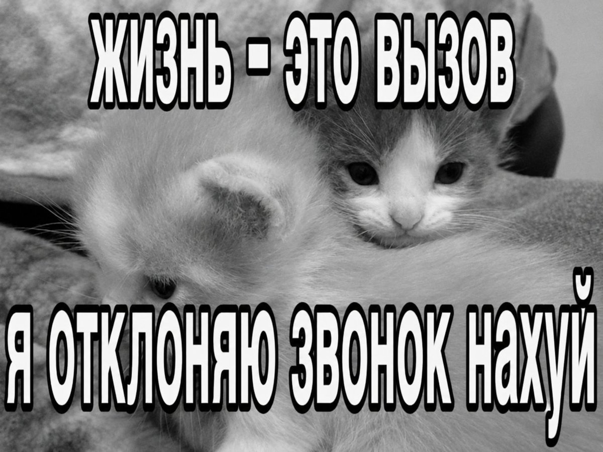 na4naii's tweet photo. https://t.co/Uiq9ZChHDY