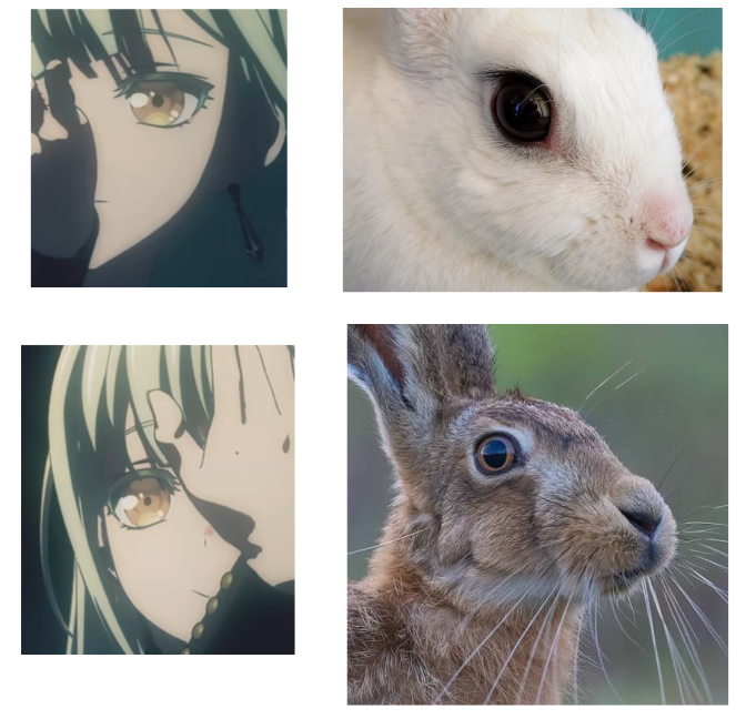 yaoguangarmpits's tweet photo. mutsumortis u are the most bunnyhare coded ever https://t.co/3E7zocEPvX