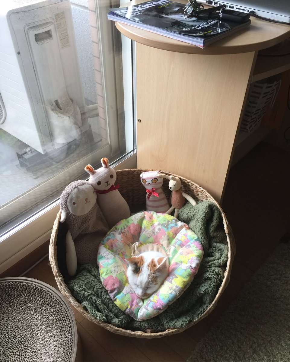 WillowLabotom's tweet photo. 言葉にできない心地よさを味わっているとき、思考を止める勇気を持つのは意外と難しいですね。皆さんは、ただそこにいるだけの自分を許せていますか。 https://t.co/Cyn7hwbs4K