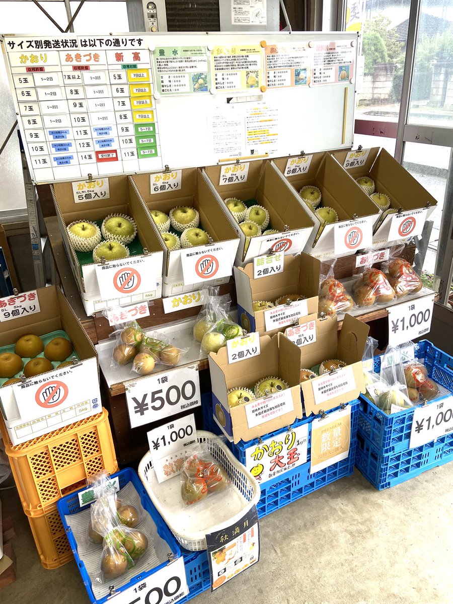 ohnoorchard's tweet photo. 2026.9.15
本日もオープンしました♪
〈販売品種〉
・豊水(袋のみ。本日最終販売予定)
・かおり
・あきづき

かおり全サイズ、あきづき6L〜5L
予約受付中です！

《営業時間》
9:30〜17:30
※イチゴ定植のため、営業時間短縮の可能性あり

当日予約、お取置き希望の方は必ず“電話”でお願いします。 https://t.co/mKLToO0GdH