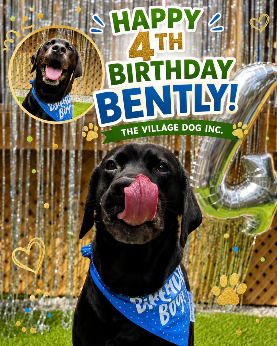 AdrianneBakec1's tweet photo. Photo by TheVillageDogInc in The Village Dog Inc. May be an image of dog, pet food and text that says "ИKeH B4eHи BOy HAPPY S 4TH BIRTHDAY BENTLY! THE VILLAGE DOG INC. LIKEAU B09". https://t.co/KdlZSI0O9Y