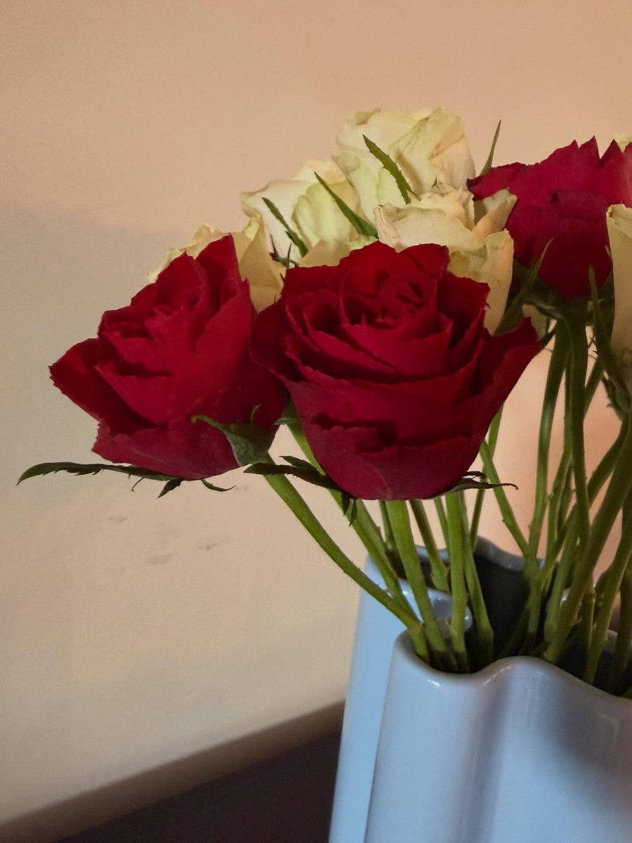 macell_eric's tweet photo. Valentine's Day is a reminder to celebrate love in all its forms. https://t.co/m9sLgIMlKo