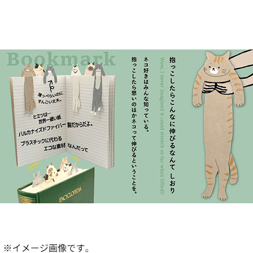 Hands_official_'s tweet photo. ところで、ネコちゃんって抱っこしたら、本当にこんなに伸びるの？🐈 https://t.co/HsnPWFKcMi