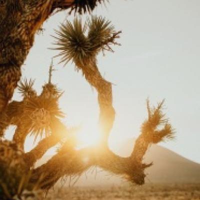 nini_home's tweet photo. The rise of AI transforms our world. From cryptocurrency to NFTs, it boosts efficiency by 50%. Global investments fuel its rapid growth. This innovation shapes a dynamic future for industries. It paves the way for sustainable solutions. 🎊 🌟 🌐 https://t.co/AYN0TLXYlC