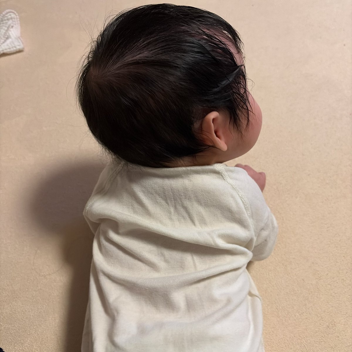 BLACK20210901's tweet photo. こんなかわいい子が私の子供で、好きなだけ愛でていいとか幸せでしかない https://t.co/2pRdkjtDjj