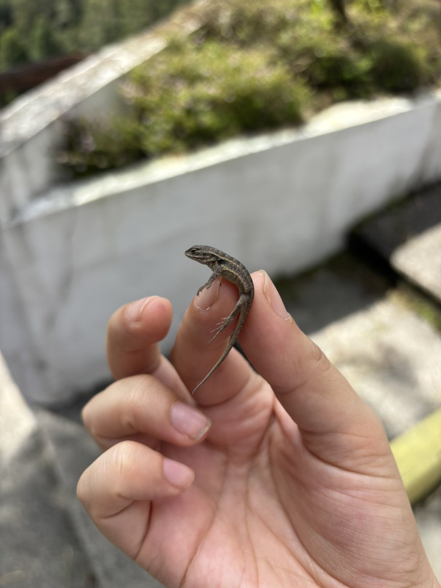 talichona's tweet photo. Marquitos me invitó a bichear 🥰🥰🥰 https://t.co/cod4UU18Ir