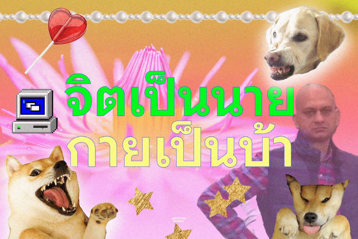 Phibabe26's tweet photo. I love my job I have แผนกจิตเวช https://t.co/p2OsebZSUv