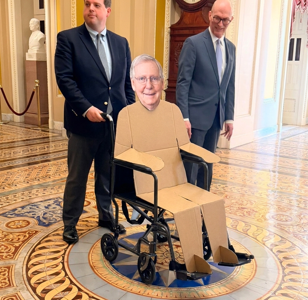 PapiTrumpo's tweet photo. SO NICE TO SEE MITCH AGAIN!!!🤪🤣🤣🤣 https://t.co/NpXdexFKnP