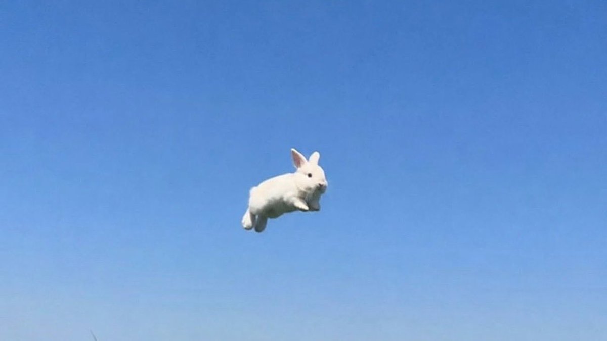 hyperrealuser's tweet photo. We’re gonna make it. https://t.co/jIxF15hr3G