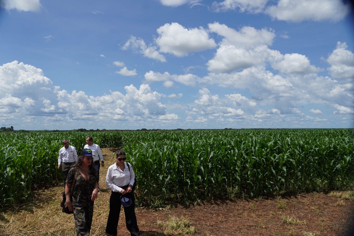 fabio_arjona's tweet photo. La Orinoquía no tiene que escoger entre conservación y desarrollo. Hoy, desde la Altillanura, hablamos de una región que puede ser productiva, competitiva y, al mismo tiempo, regenerativa.

Nuestra tarea desde @minambienteco es ayudar a ordenar el crecimiento: definir dónde producir, dónde conservar y dónde restaurar, de acuerdo con la vocación de cada territorio.

El agua, los suelos y la biodiversidad no son obstáculos para la economía. Son su infraestructura natural. Por eso, la apuesta es clara: Agua, Biodiversidad y Comunidades —ABC— como pilares de una nueva economía, capaz de integrar agroindustria, bioeconomía, restauración y conservación.

En la #PatriaMilagro queremos que conservar y restaurar sean oportunidades económicas para quienes habitan y protegen este territorio. La Orinoquía tiene la oportunidad de construir su propio modelo. Y queremos hacerlo junto a los productores, las comunidades, las autoridades y el sector privado.

Aquí el ambiente no es el límite del desarrollo: es el habilitante de la productividad, la inversión y la prosperidad.