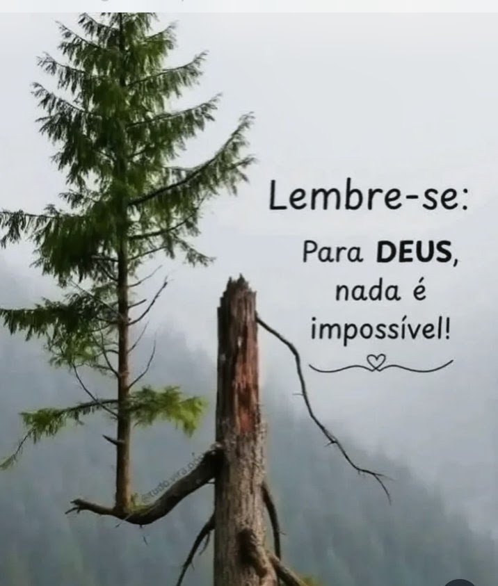 deboraugusto's tweet photo. https://t.co/BZINmu2HGk