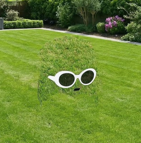 othercoin_rh's tweet photo. Everyone has tried to do this but all have done it incorrectly.

Alon - A Lawn. 

Paired with Pump. https://t.co/zEjJkRZAj4