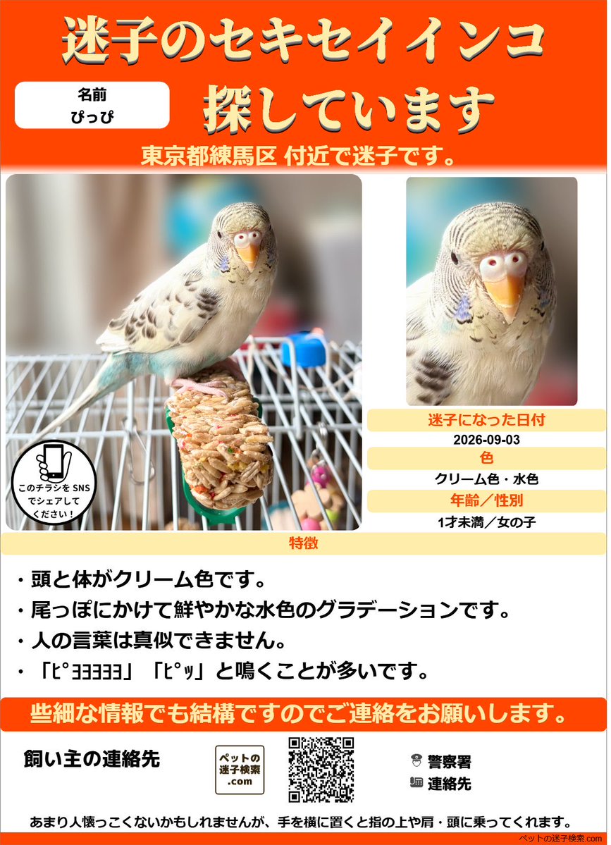 Auni313842's tweet photo. ▼迷いインコ捜索

【進捗】
2026/9/3から迷子です。もうすぐ2週間になってしまいますが探しています。

ポスティング・動物病院のチラシ・回覧板・SNSからの連絡はまだありません。

うちのインコを含め、また1羽もインコを発見できていなくて凹みますが今日も捜索します。 https://t.co/3ARUJpahS0