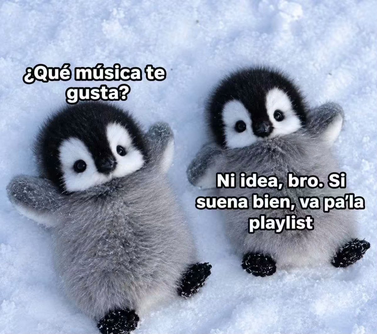 Guarromantico_'s tweet photo. Ni idea bro. https://t.co/hLOdgw7n23