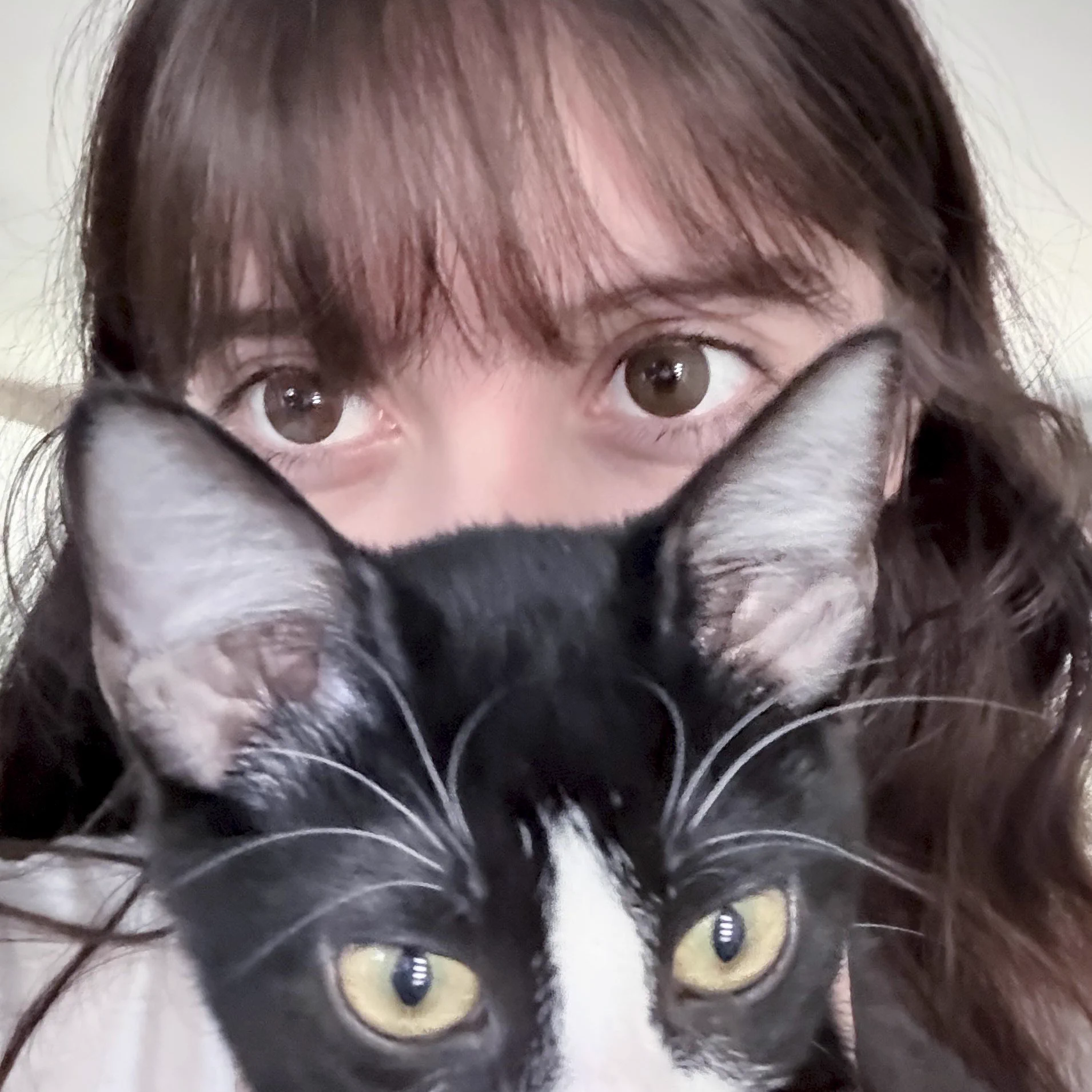 kitty♡ xy on X: 