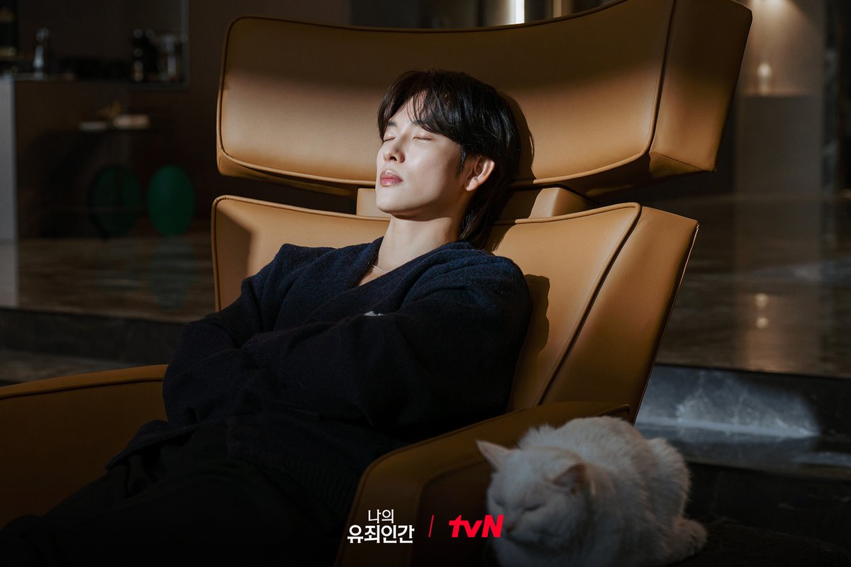 CJnDrama's tweet photo. 태강그룹 차기 후계자 윤이준의 반전 매력: 
밖에서는 까칠 예민미 MAX 보스🤨
집에서는 고양이 앞 무장해제 집사!?😻

밀착 스릴 로맨스 <나의 유죄인간>
10/19 [월] 저녁 8:50 첫 방송 | tvN

#tvN #나의유죄인간 #LOVEINDISGUISE
#임시완 #설인아 #김정현 #연우
#즐거움엔20tvN #스트리밍은TVING https://t.co/5fIgQO2l7F