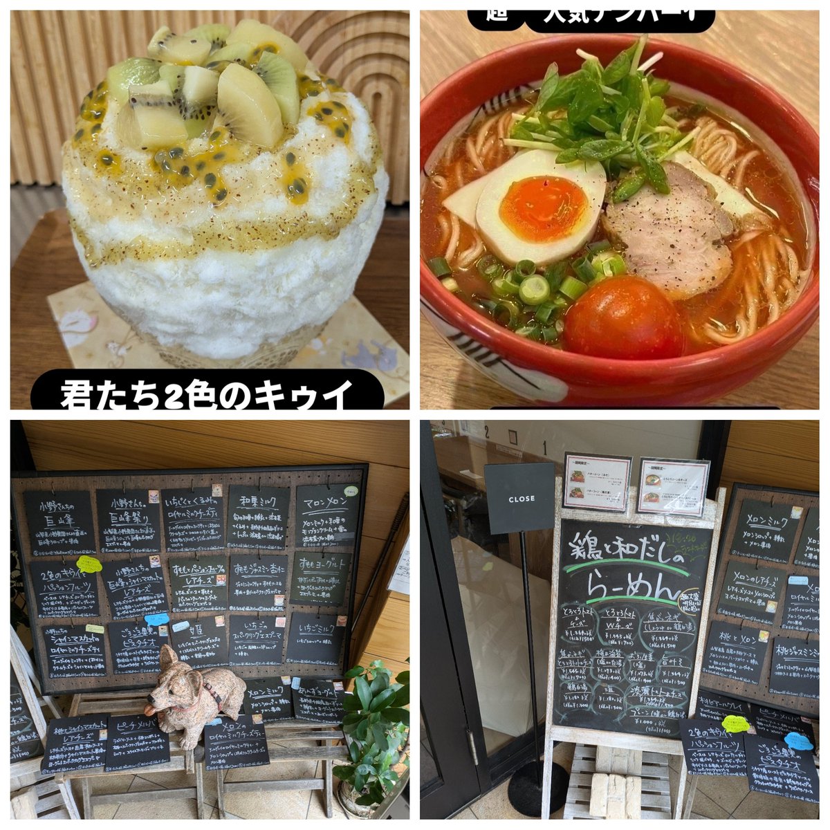 haimuru2014's tweet photo. ★本日メニュー★
おはようございます☀
今日は11時半オープン18時20分ﾗｽﾄｵｰﾀﾞｰ45分ｸﾛｰｽﾞです😊
2色のキゥイレアチーズ🍧いかがでしょう！
今日の栗メニューのトップ栗は渋皮煮のみです✨
とろとろトマト＆チーズらーめん🍜いかがでしょう！
本日もお待ちしております😊 https://t.co/TmDq3VuJfb