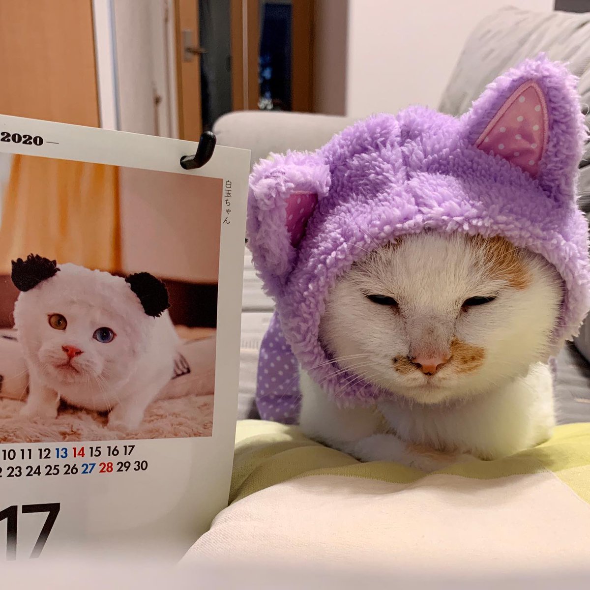 NeldaDayaldfbc's tweet photo. 記憶を巻き戻すことになんて意味がないのに、ついつい過去の残像をなぞってしまう。都合のいい編集作業だね。 https://t.co/ELmJgwCRa1