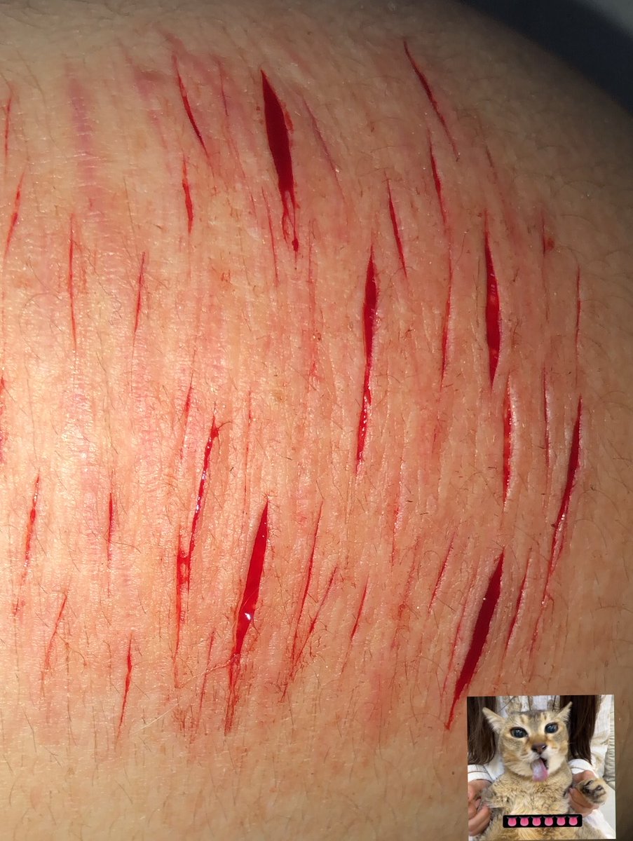 thepukegod's tweet photo. sfx makeup fake blood all fake all fake all fake  #shtwtt #slittwt https://t.co/Mu5FLMeVJX