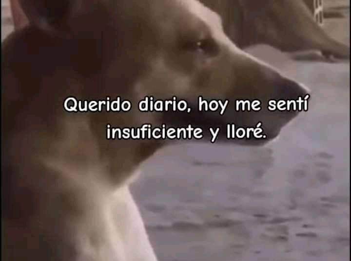 FraseSimple's tweet photo. https://t.co/VhYOXlcLgu