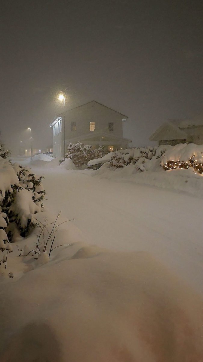 lady_valor_07's tweet photo. Are you fan of snowy nights like this?❄️ https://t.co/tEZqfcxW7p