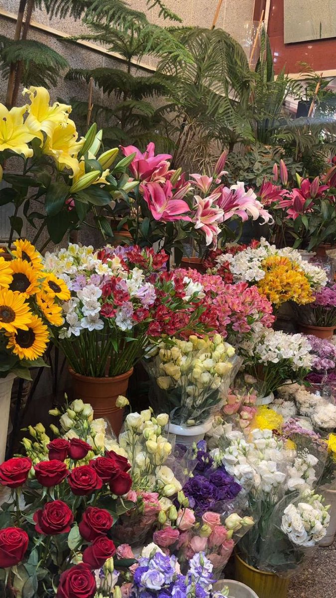 tutututututulip's tweet photo. https://t.co/cHR5iJkgej