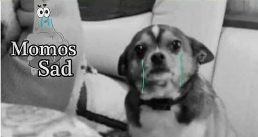 Causachamo's tweet photo. @pondfox27 https://t.co/2pHENPKOec