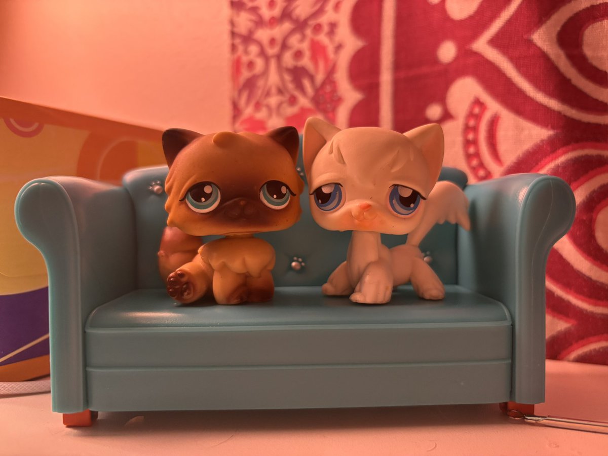 luvnugt's tweet photo. hi we are cats just chilling on the couch 
#lpstwt https://t.co/x8g36wLGLR