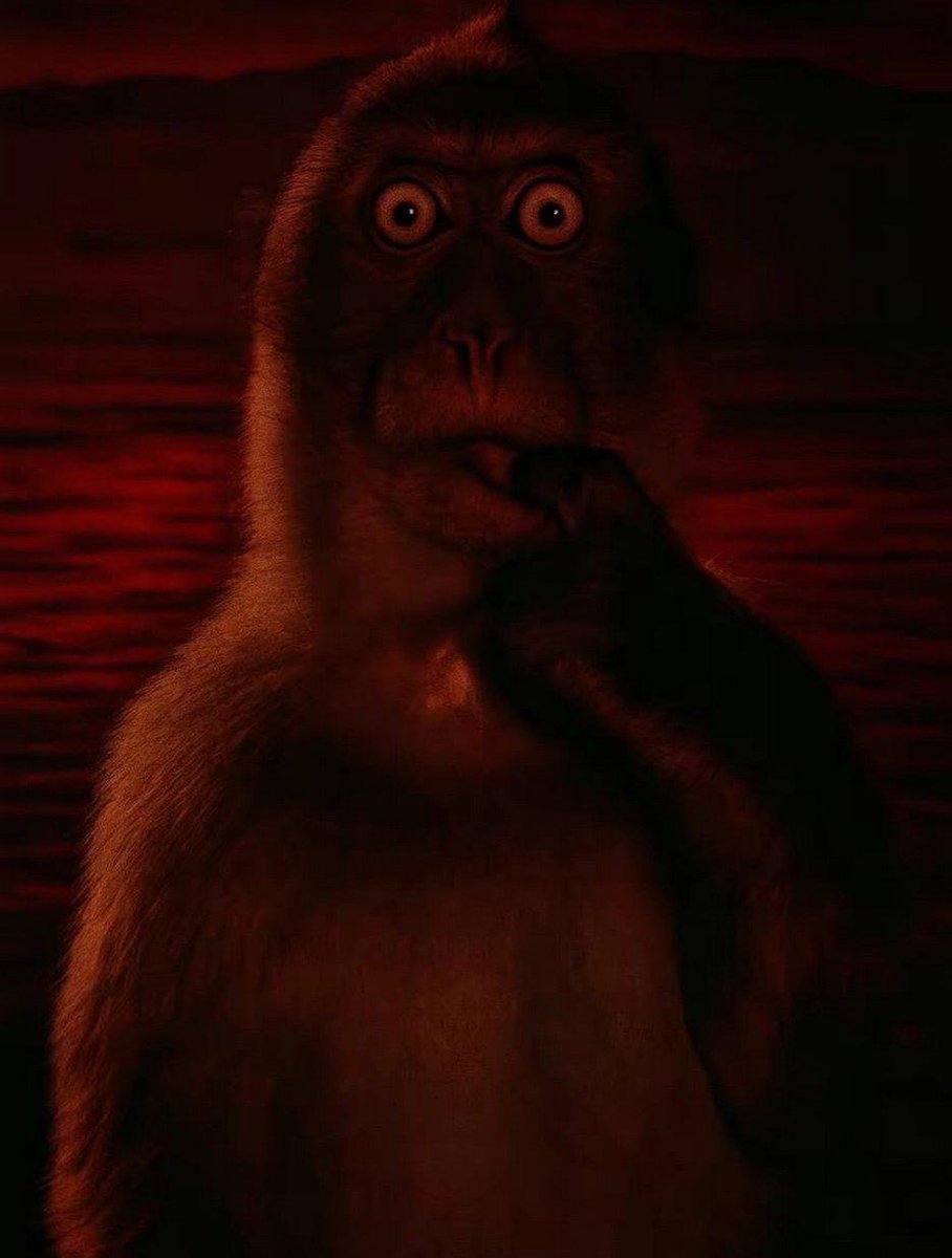 XddXms's tweet photo. Chicos ALEXISONFIRE me dejó de que frío en shock tieso virolo https://t.co/OXfYLdj9AO
