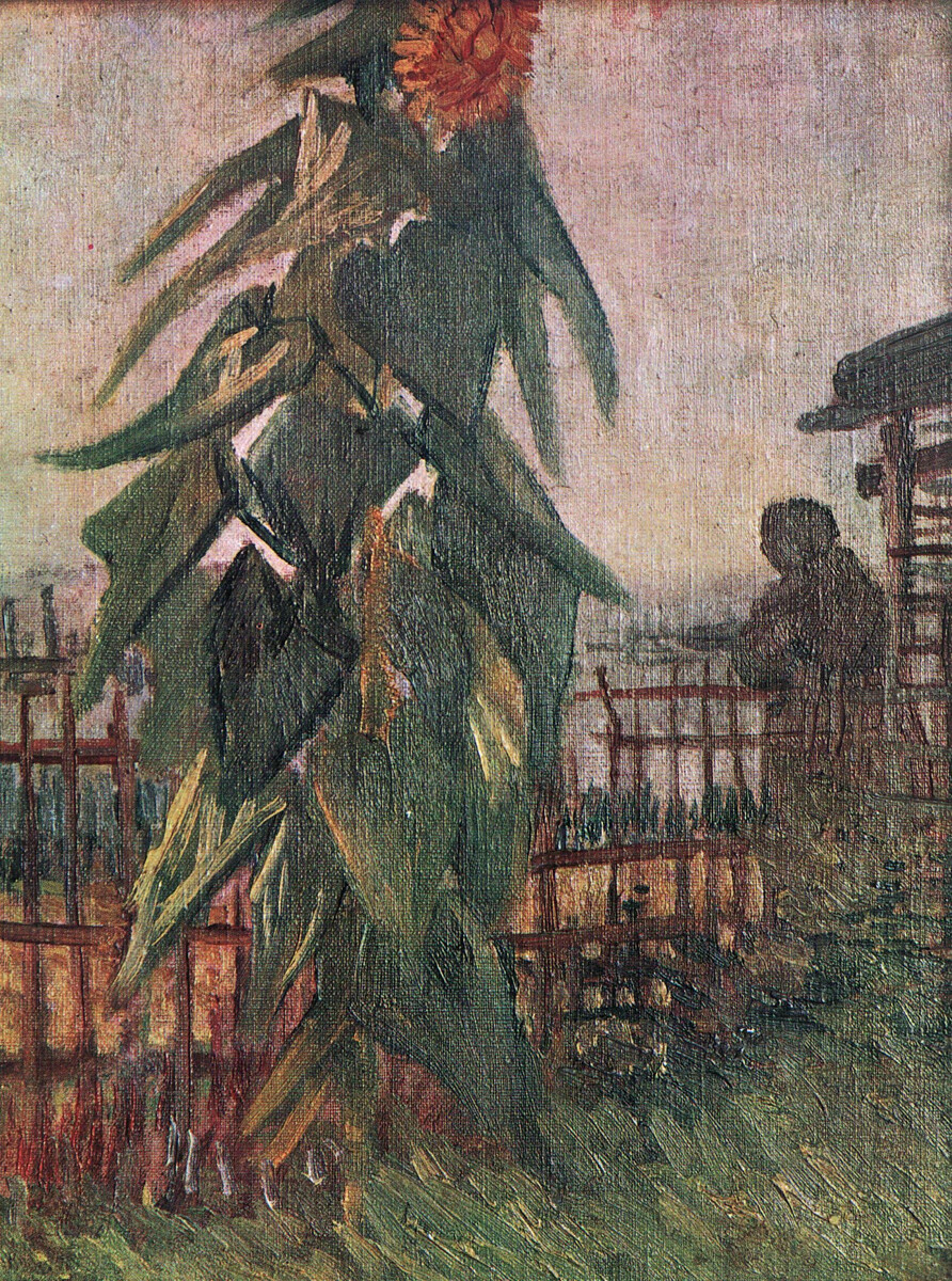 vangoghartist's tweet photo. The Garden with Sunflower - 1887 #artbots #vangogh https://t.co/dIFZE1IPuN