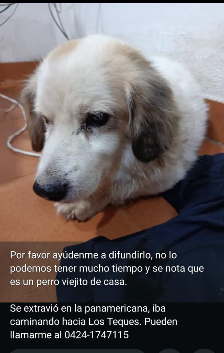 infinitoanimal2's tweet photo. 🆘🆘🆘🆘 URGENTE POR FAVOR 🆘🆘🆘🆘 RT https://t.co/zM36Cne0hi