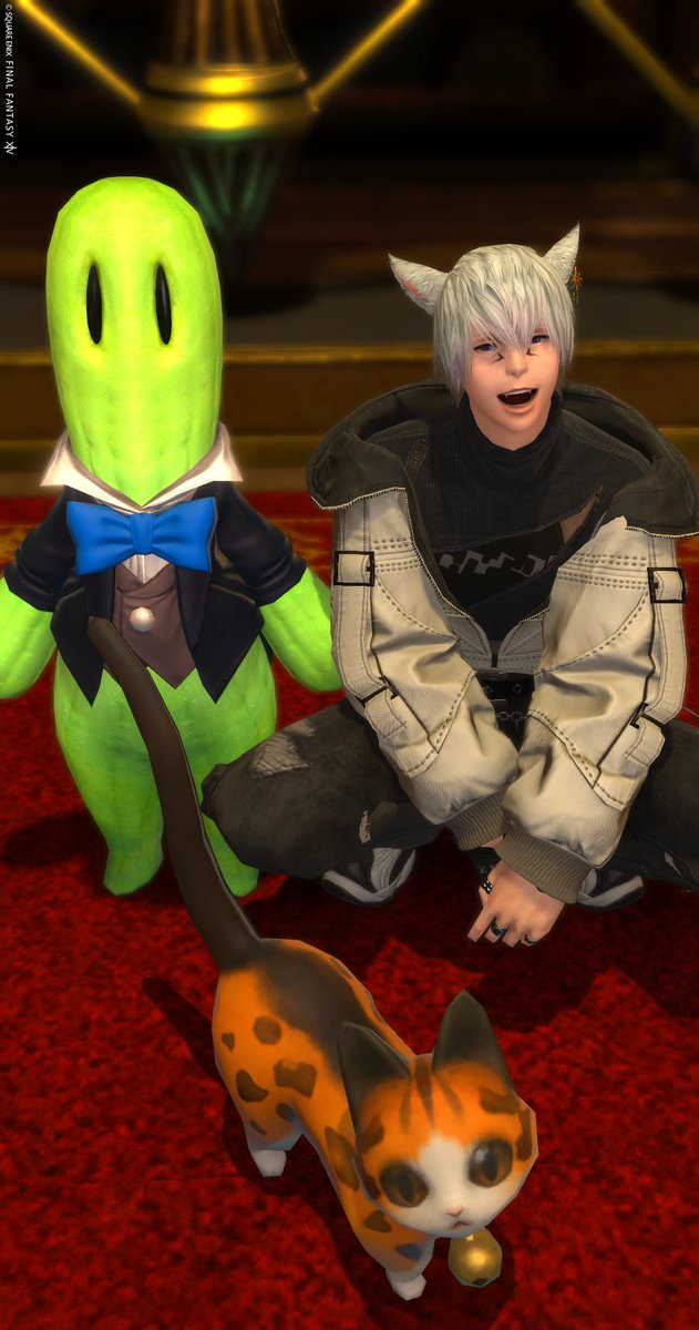AshuFFXIV's tweet photo. おはよう🐾
昨日はフレさんとアロアロしたりして遊んだ！
でも基本GSでウロウロしてようかと思います
モグコレ間に合うかなぁ…
#おはミコ #オスッテ ＃FF14 https://t.co/2RlRnOs3Gn