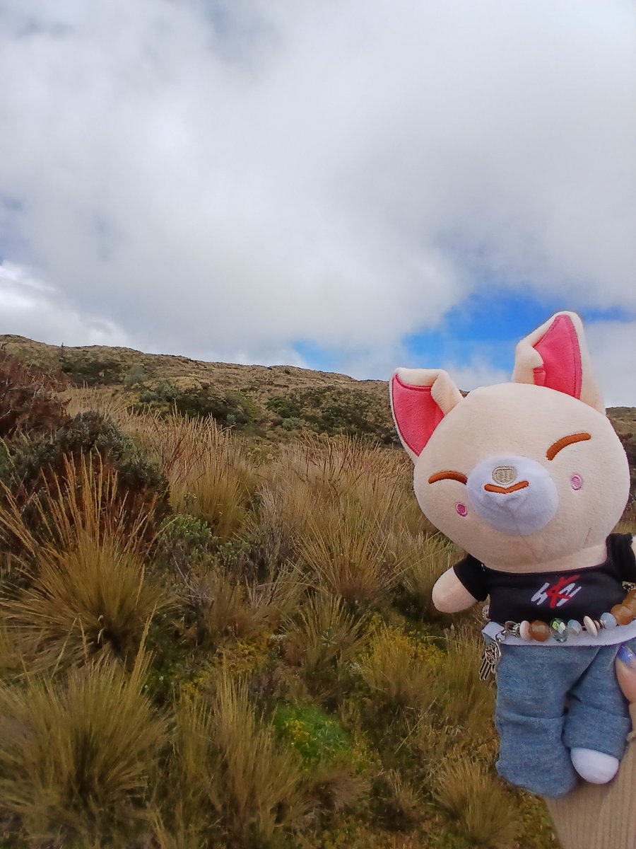 GigisSKZVerse's tweet photo. En el Parque Nacional Cayambe-Coca y por el cumple del Hannie ♡
#SKZenEcuador
#EcuadorNeedsStrayKids
#BringSKZToEcuador
#RunitEcuador
@jypnation @Stray_Kids https://t.co/jphQSa7gwg