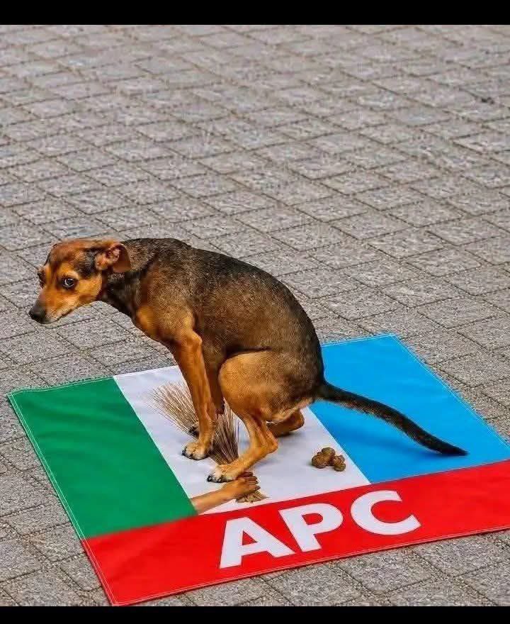 AdeyemiGCFR tweet picture