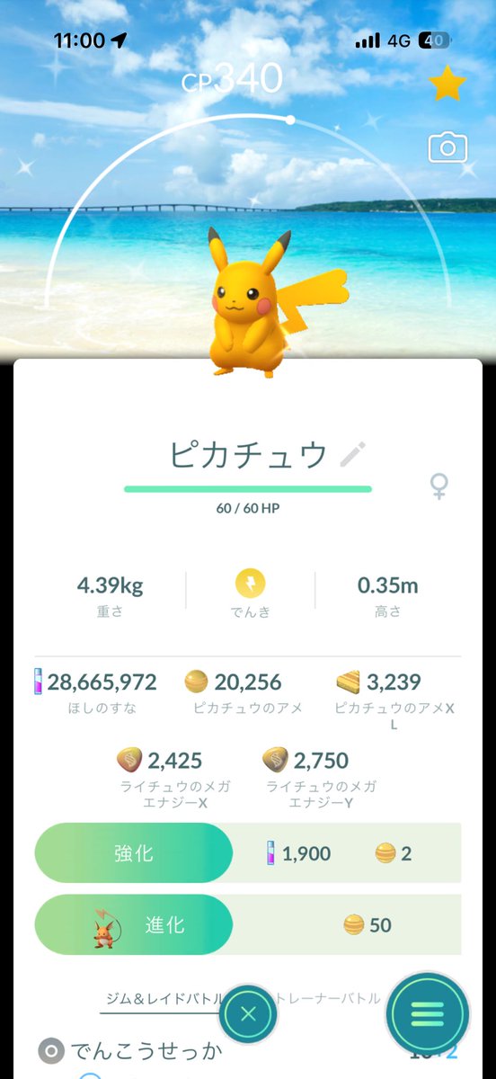 mgs430lexus's tweet photo. 有休消化で2泊3日の沖縄
家族旅行で運転手の為
GOプラス任せ
ポケモンセンターとポケフタ8箇所
A&amp;W中村そばとハレクラニ
パルコのちいかわレストラン
羽田空港の次も多分
JALで那覇空港かな？

#ピカチュウ https://t.co/S17RDGMXSI