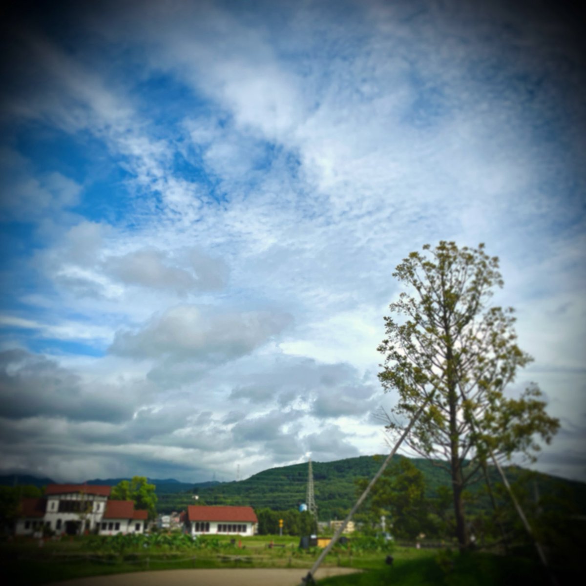 ty_masai's tweet photo. ◻︎…cloudy.
.
.
.
.
.
.
.
.
.
.
▪️天気予報のハズレた、仕事場への道。巻きですが中身ある方向で進めます。
.
.
.
.
.
#homestudio #homestudios #homestudiolife #homestudiorecording #mixing #mixingandmastering #arranger #arrangermusic #daw #theway #thetree #thehouse #esp #espguitar https://t.co/z9atasXhpw