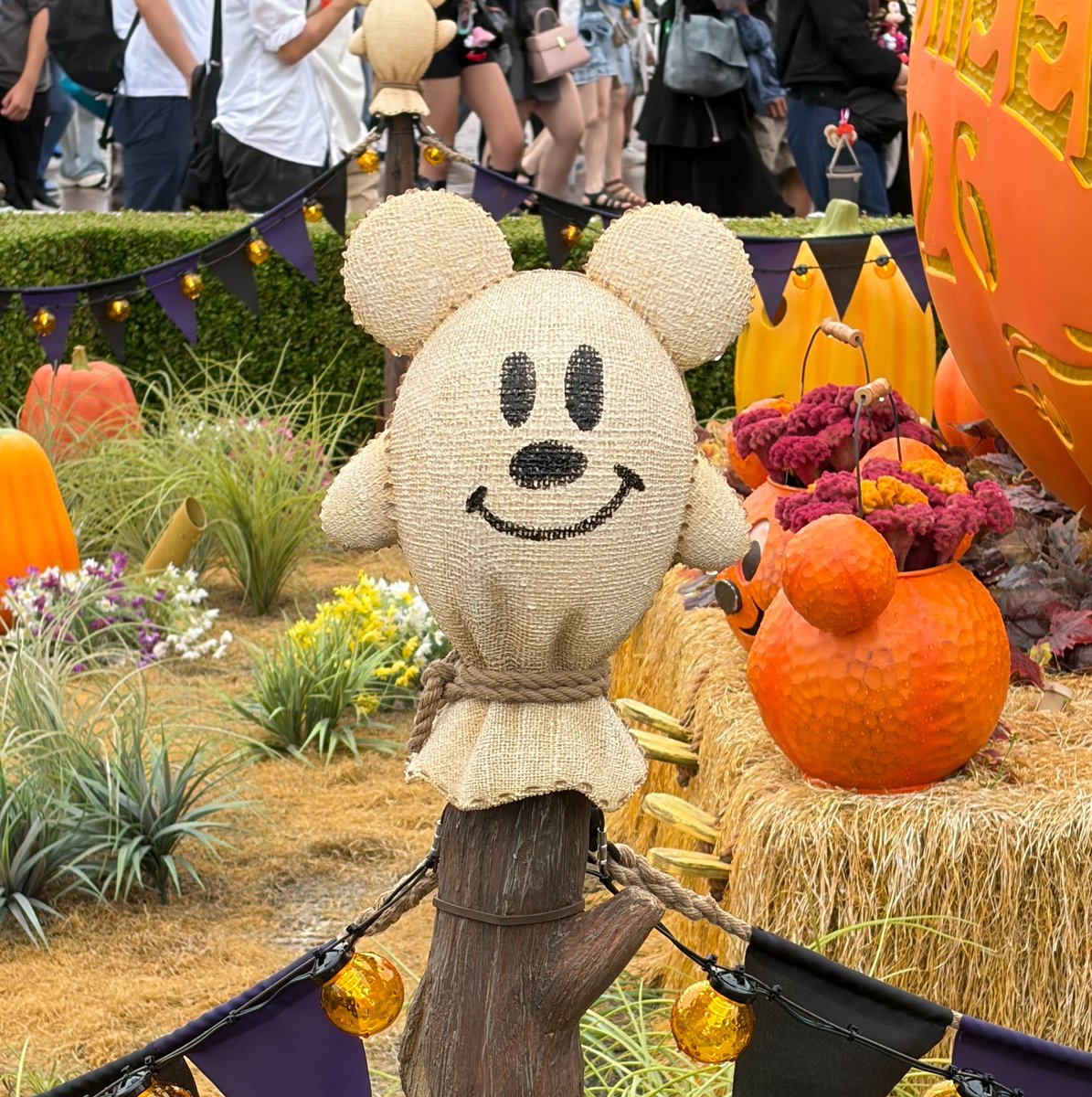 __3825__'s tweet photo. この子なんかかわいい好き 👻 🎃

 #tdr_now  #tdr__now https://t.co/Yuo0ErhGdL