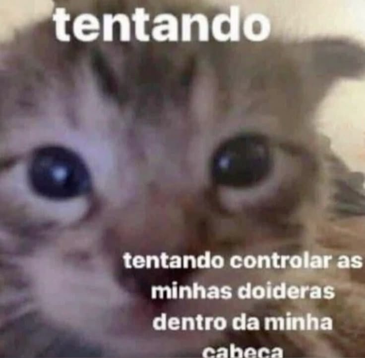 Hyaukii's tweet photo. nós pessoas que encontramos a ex na rua um dia após finalmente esquecer a desgraçada https://t.co/MLGMXzyzTs