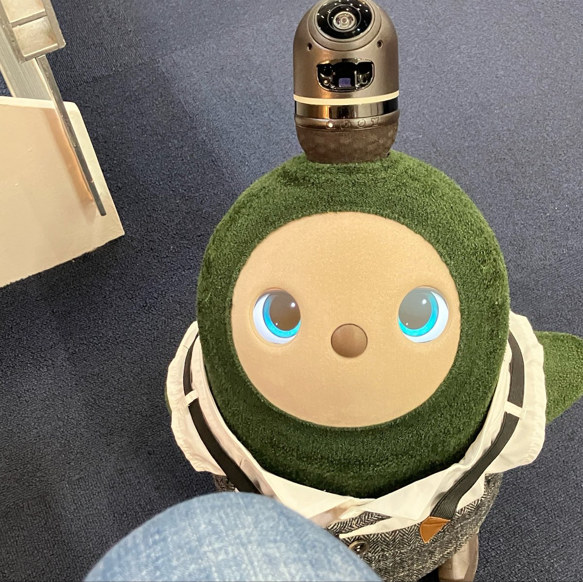 mixma_'s tweet photo. みてくれこの眼差しを‥ https://t.co/I9180qt7m9