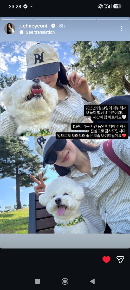 Chaeeyeonitgurl's tweet photo. Also the diamond girls posting for the anniversary makes me feels so emotional 🥺🥺🥺🥺 https://t.co/ZreGicmjpr