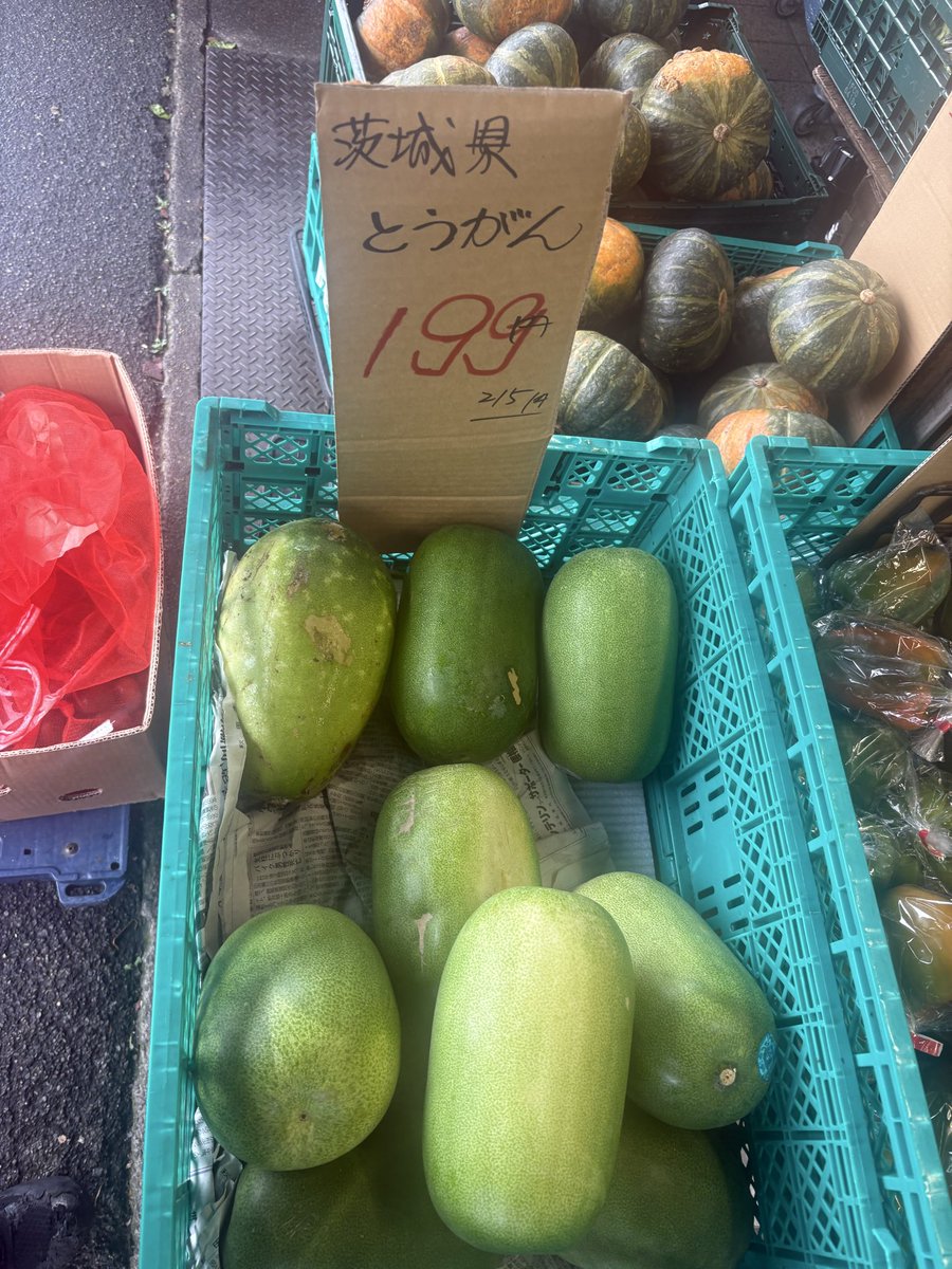 mindhorieten's tweet photo. 茨城産 #とうがん 1個 199円！！
千葉産 #赤とうがらし 1袋 199円🌶
➡️自家製乾燥とうがらし作りなどに！！
カンボジア産 #バナナ 2パック 150円🍌🍌
＃マインド堀江店 #八百屋 https://t.co/2ILrvDxCKo