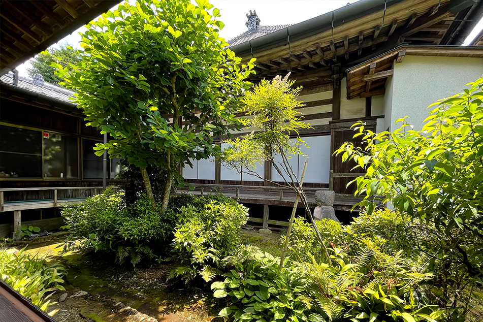 acoloca_info's tweet photo. ❣和装レイヤーさん必見👘
箱根登山鉄道風祭駅から 徒歩5分🚶

歴史ある本堂、風情ある和室、伝統的な縁側や美しい日本庭園など、和風の世界観にぴったり！ https://t.co/02kDIdPD8o