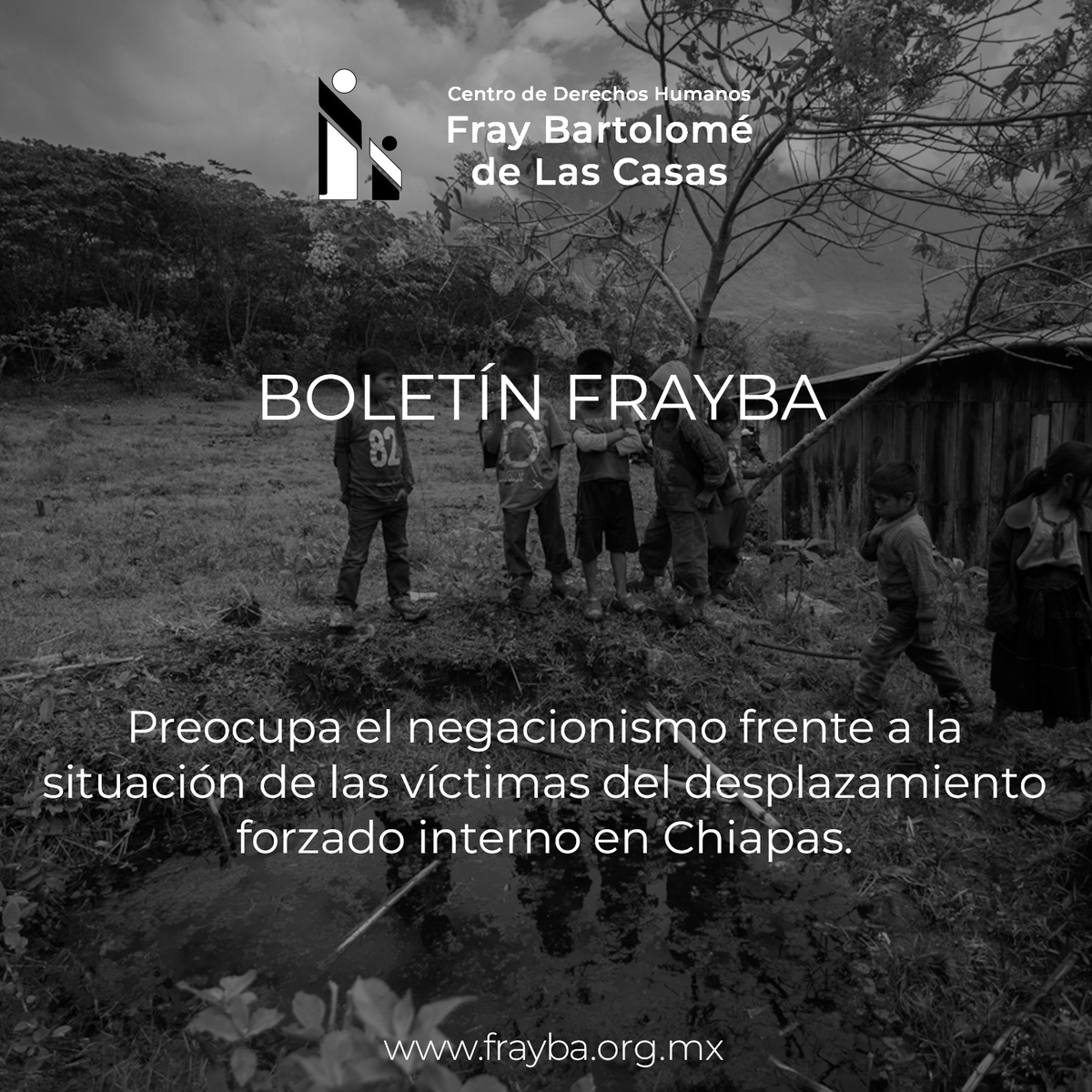 CdhFrayba's tweet photo. 𝐁𝐨𝐥𝐞𝐭𝐢́𝐧 𝐅𝐫𝐚𝐲𝐛𝐚

⚫️ Preocupa el negacionismo frente a la situación de las víctimas del desplazamiento forzado interno en Chiapas.

📄 𝐋𝐞𝐞 𝐞𝐥 𝐁𝐨𝐥𝐞𝐭𝐢́𝐧 𝐜𝐨𝐦𝐩𝐥𝐞𝐭𝐨 ➡️ https://t.co/7fwMUQ1JpE https://t.co/GSuQuMqYdL