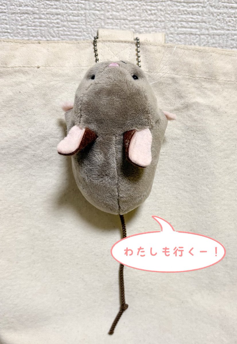deguchiki's tweet photo. げっ歯類のデグーのグッズを作っています🐭
新作で一緒におでかけできるデグーのぬいぐるみを作りました！

出店予定
9/21(月・祝) げっしの杜(場所：兎の杜様/大阪・中崎町)

@Lupopo_cafe  様素敵な企画ありがとうございます🌸 https://t.co/CV9h6tXcvJ