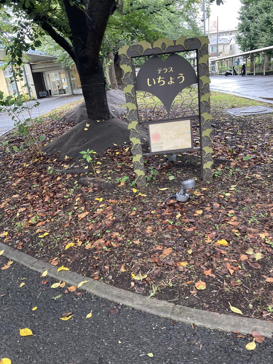 Za3K44's tweet photo. 今朝はくぅ🐶の通院日で麻布大学附属動物病院🏥に来てる🚙
検査待ちで母ちゃん大学校内を散策
テラスでパン＆コーヒーを飲んでボーっとしてる😀 https://t.co/ACdHDxtcIe