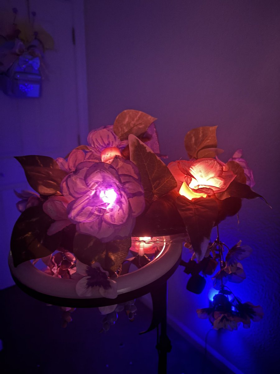 CornerCoppers's tweet photo. ITS FINISHED!!!

Moonlit Meadow Halo IRL! I know the lanterns jank but I was running out of glue 🥹💖

#royalehigh https://t.co/6hC5AoNJNk