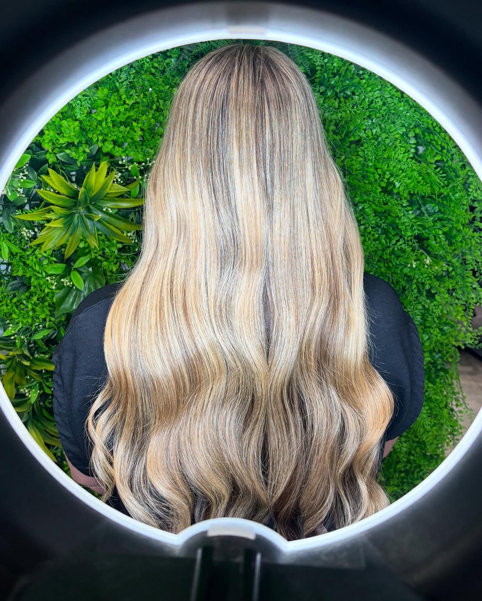 RandallStuhceg's tweet photo. roots be gone🤫
colour created by Ella🤍 https://t.co/OaNkKVPxJ7