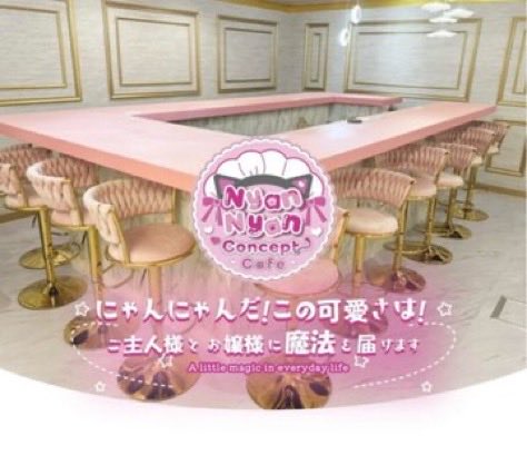 nyan819925's tweet photo. 🐈今週のお給仕表です🐈

毎週【日曜日】は店休日となっております！
今月のイベント
•18（金）19（土）パジャマイベント
•21（月）22（火）にゃんにゃんの日🐈
今週もたくさんのご帰宅お待ちしております！
#帯広　#コンカフェ https://t.co/pPhx73JhBs