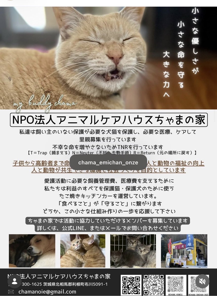 ft2r5a's tweet photo. お友達が保護活動頑張っています！
拡散してもらえると嬉しいです😭 https://t.co/ebWJMKtv0i